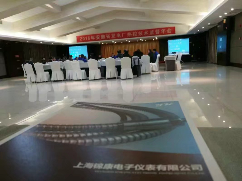 2016年參加安徽省熱控技術(shù)監(jiān)督會